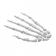 emblém samolepící 3D ornament Skeleton